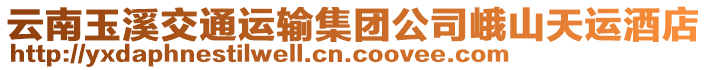 云南玉溪交通運(yùn)輸集團(tuán)公司峨山天運(yùn)酒店