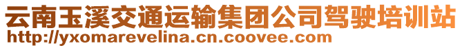 云南玉溪交通運(yùn)輸集團(tuán)公司駕駛培訓(xùn)站