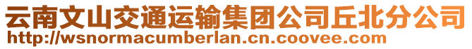 云南文山交通運(yùn)輸集團(tuán)公司丘北分公司