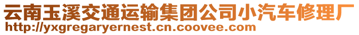 云南玉溪交通運輸集團公司小汽車修理廠