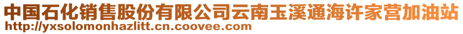 中國(guó)石化銷售股份有限公司云南玉溪通海許家營(yíng)加油站