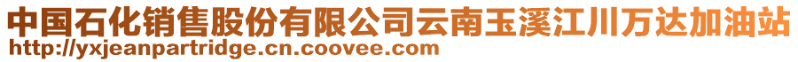 中國石化銷售股份有限公司云南玉溪江川萬達加油站