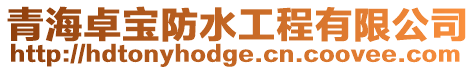 青海卓寶防水工程有限公司