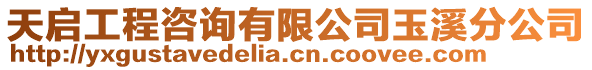 天啟工程咨詢有限公司玉溪分公司