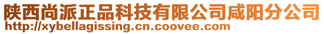 陜西尚派正品科技有限公司咸陽(yáng)分公司