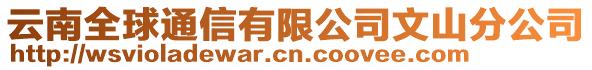 云南全球通信有限公司文山分公司