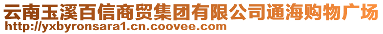 云南玉溪百信商貿(mào)集團(tuán)有限公司通海購(gòu)物廣場(chǎng)