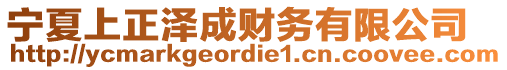 寧夏上正澤成財(cái)務(wù)有限公司