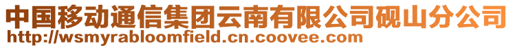 中國移動通信集團云南有限公司硯山分公司