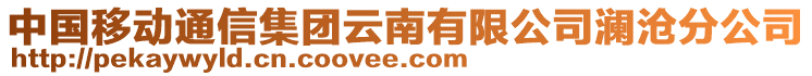 中國移動通信集團云南有限公司瀾滄分公司