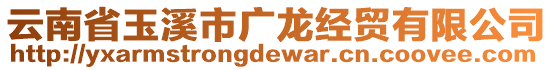 云南省玉溪市廣龍經(jīng)貿(mào)有限公司