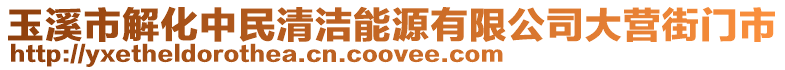 玉溪市解化中民清潔能源有限公司大營街門市