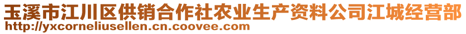 玉溪市江川區(qū)供銷合作社農(nóng)業(yè)生產(chǎn)資料公司江城經(jīng)營部