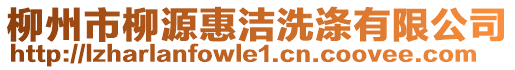 柳州市柳源惠潔洗滌有限公司