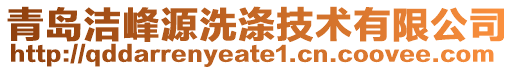 青島潔峰源洗滌技術(shù)有限公司