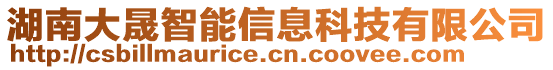 湖南大晟智能信息科技有限公司