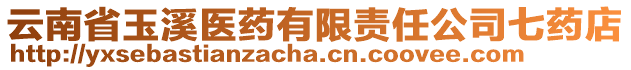 云南省玉溪醫(yī)藥有限責任公司七藥店