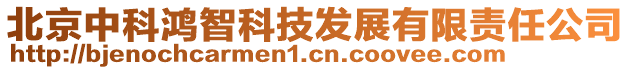 北京中科鴻智科技發(fā)展有限責任公司