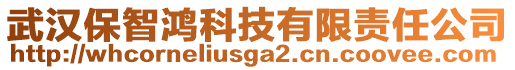 武漢保智鴻科技有限責(zé)任公司