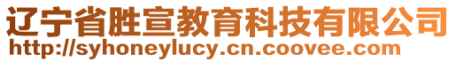 遼寧省勝宣教育科技有限公司