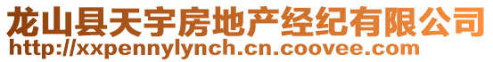 龍山縣天宇房地產(chǎn)經(jīng)紀有限公司