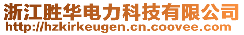 浙江勝華電力科技有限公司