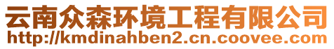 云南眾森環(huán)境工程有限公司