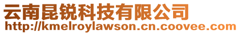 云南昆銳科技有限公司