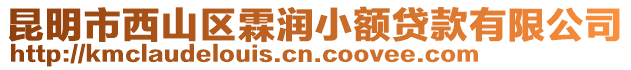 昆明市西山區(qū)霖潤(rùn)小額貸款有限公司
