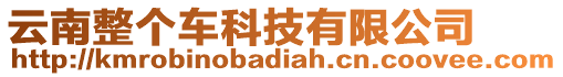 云南整個(gè)車科技有限公司