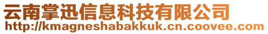 云南掌迅信息科技有限公司