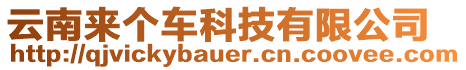 云南來個(gè)車科技有限公司