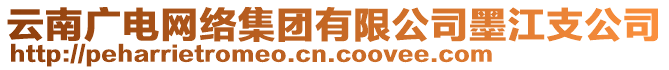 云南廣電網(wǎng)絡集團有限公司墨江支公司