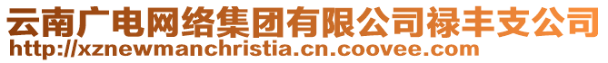 云南廣電網(wǎng)絡(luò)集團有限公司祿豐支公司