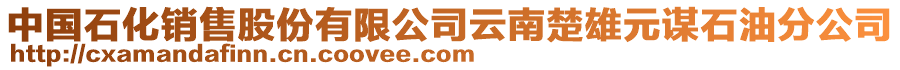 中國(guó)石化銷(xiāo)售股份有限公司云南楚雄元謀石油分公司