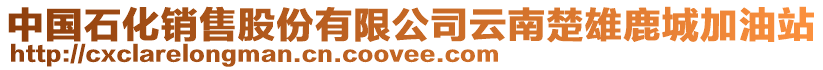 中國石化銷售股份有限公司云南楚雄鹿城加油站