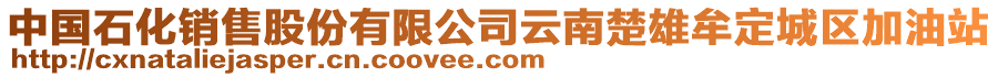 中國石化銷售股份有限公司云南楚雄牟定城區(qū)加油站