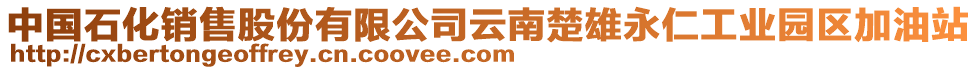 中國石化銷售股份有限公司云南楚雄永仁工業(yè)園區(qū)加油站