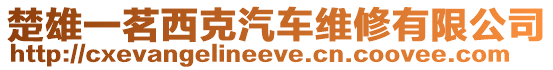 楚雄一茗西克汽車維修有限公司