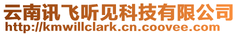 云南訊飛聽見科技有限公司