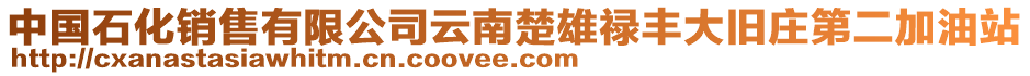 中國(guó)石化銷售有限公司云南楚雄祿豐大舊莊第二加油站