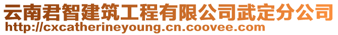 云南君智建筑工程有限公司武定分公司