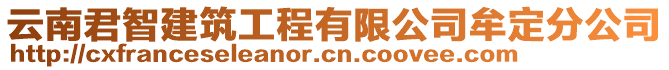 云南君智建筑工程有限公司牟定分公司