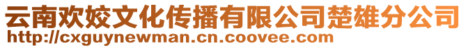 云南歡姣文化傳播有限公司楚雄分公司