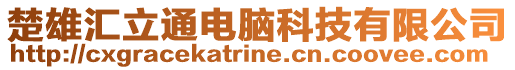 楚雄匯立通電腦科技有限公司