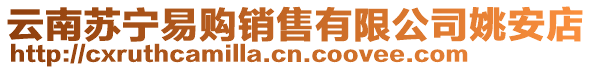 云南蘇寧易購銷售有限公司姚安店