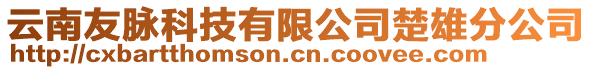 云南友脈科技有限公司楚雄分公司