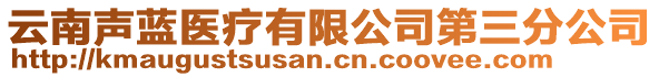 云南聲藍(lán)醫(yī)療有限公司第三分公司