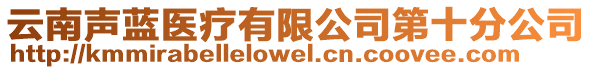 云南聲藍(lán)醫(yī)療有限公司第十分公司