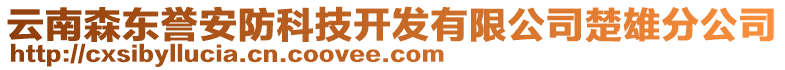 云南森東譽安防科技開發(fā)有限公司楚雄分公司